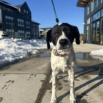 Lilly-1920x-gallery9