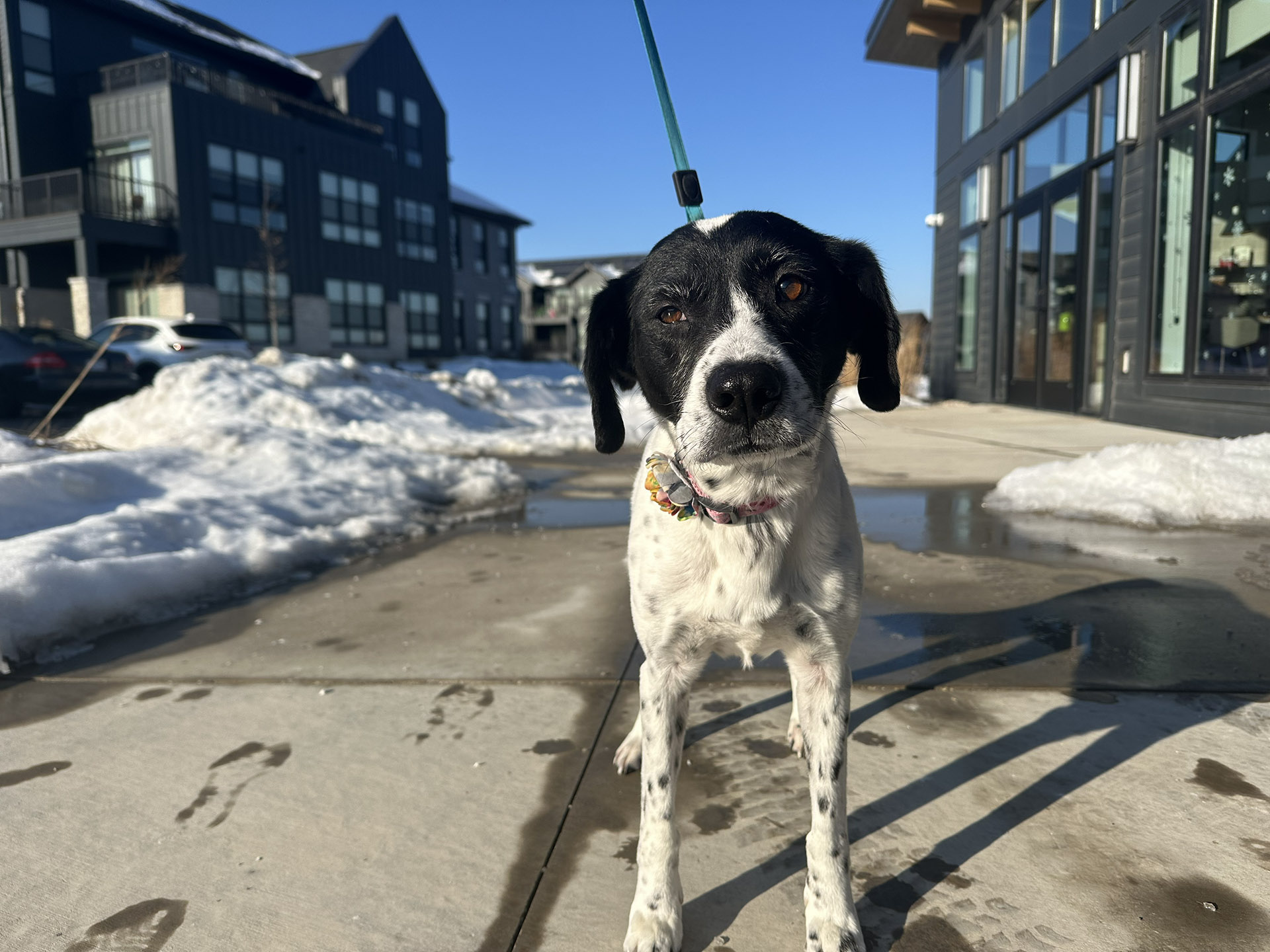 Lilly-1920x-gallery9