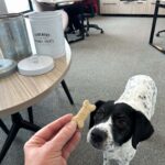 LillyTreat-1920x-gallery9